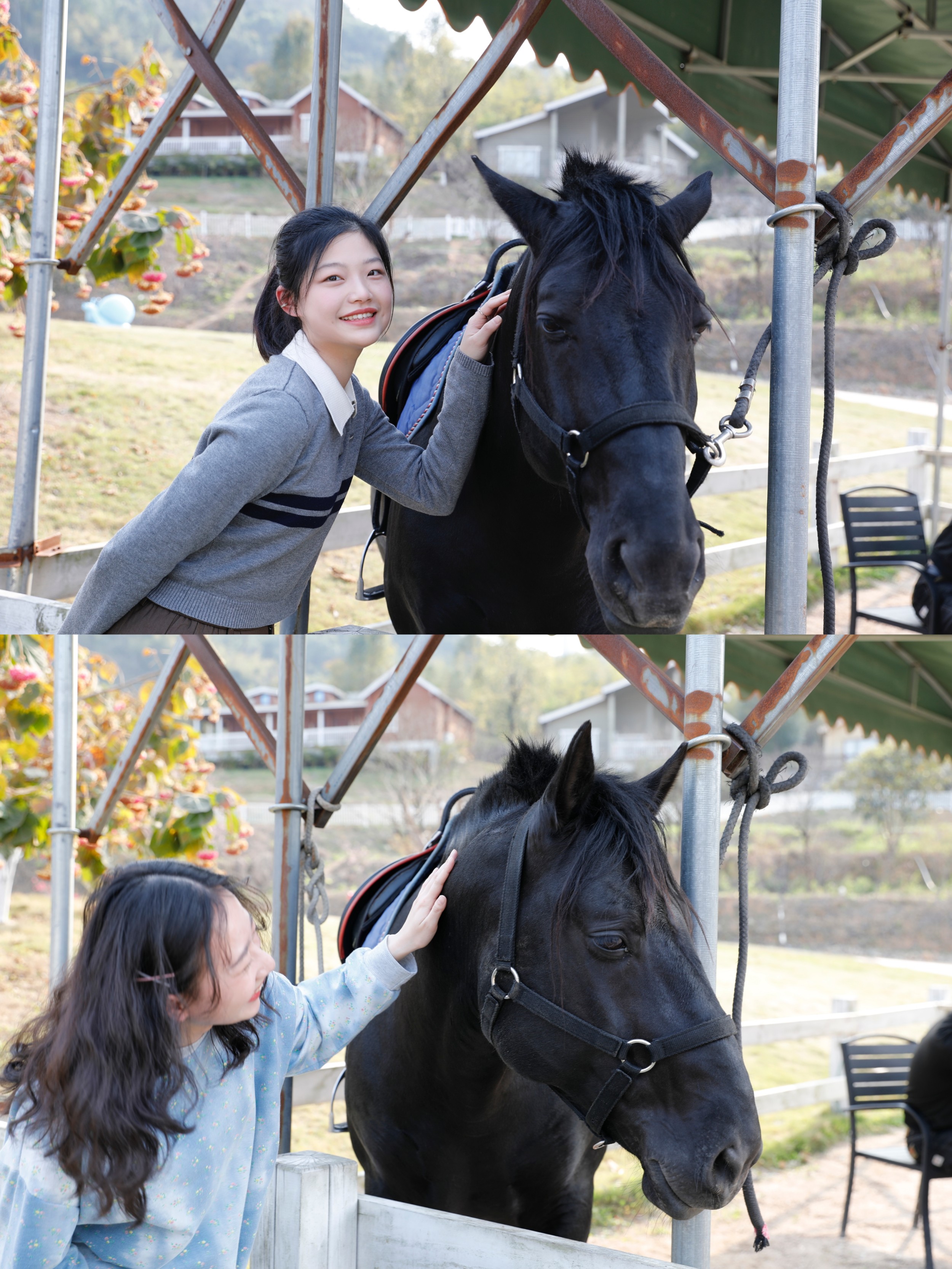 167869100574594.jpg 167869100574594.jpg